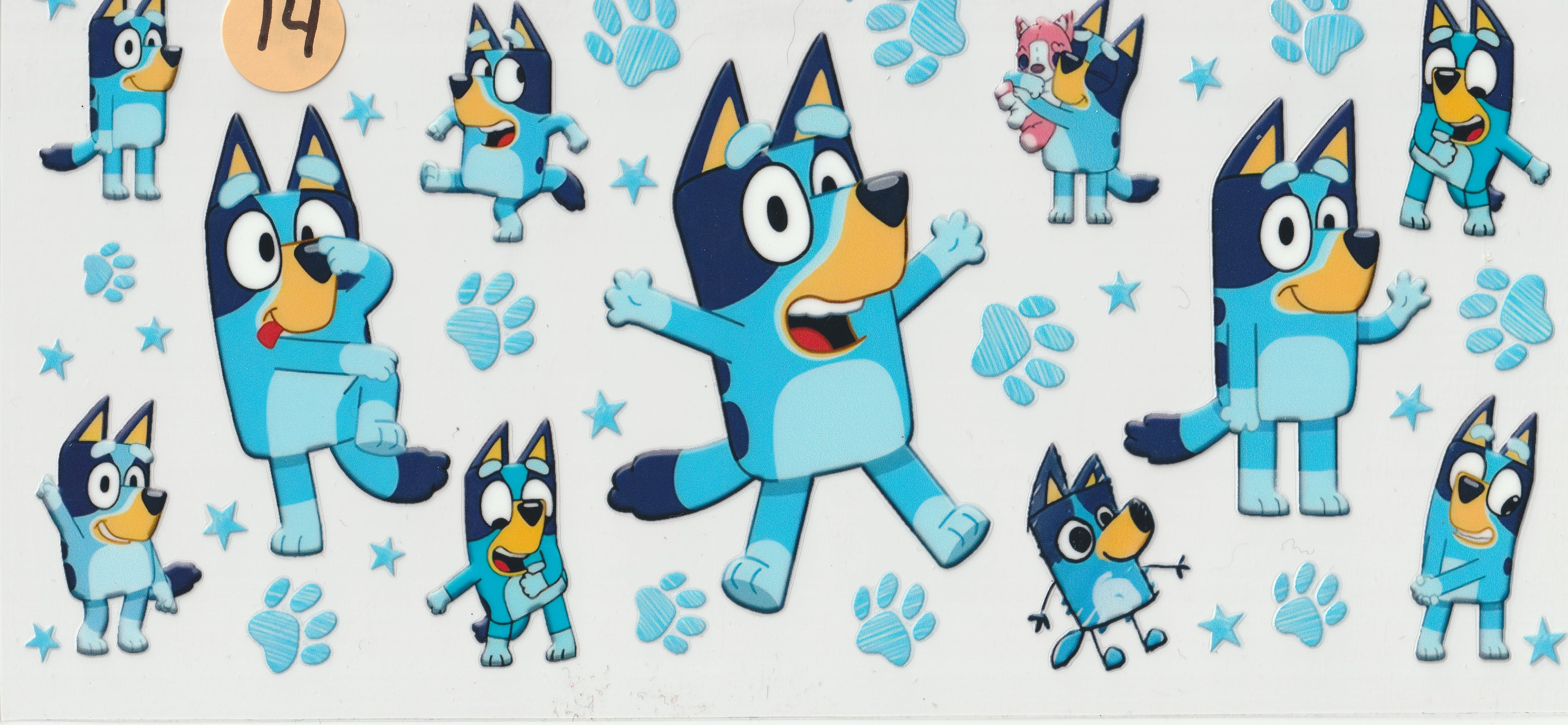 14 - Bluey