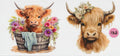 182 - Two Cows