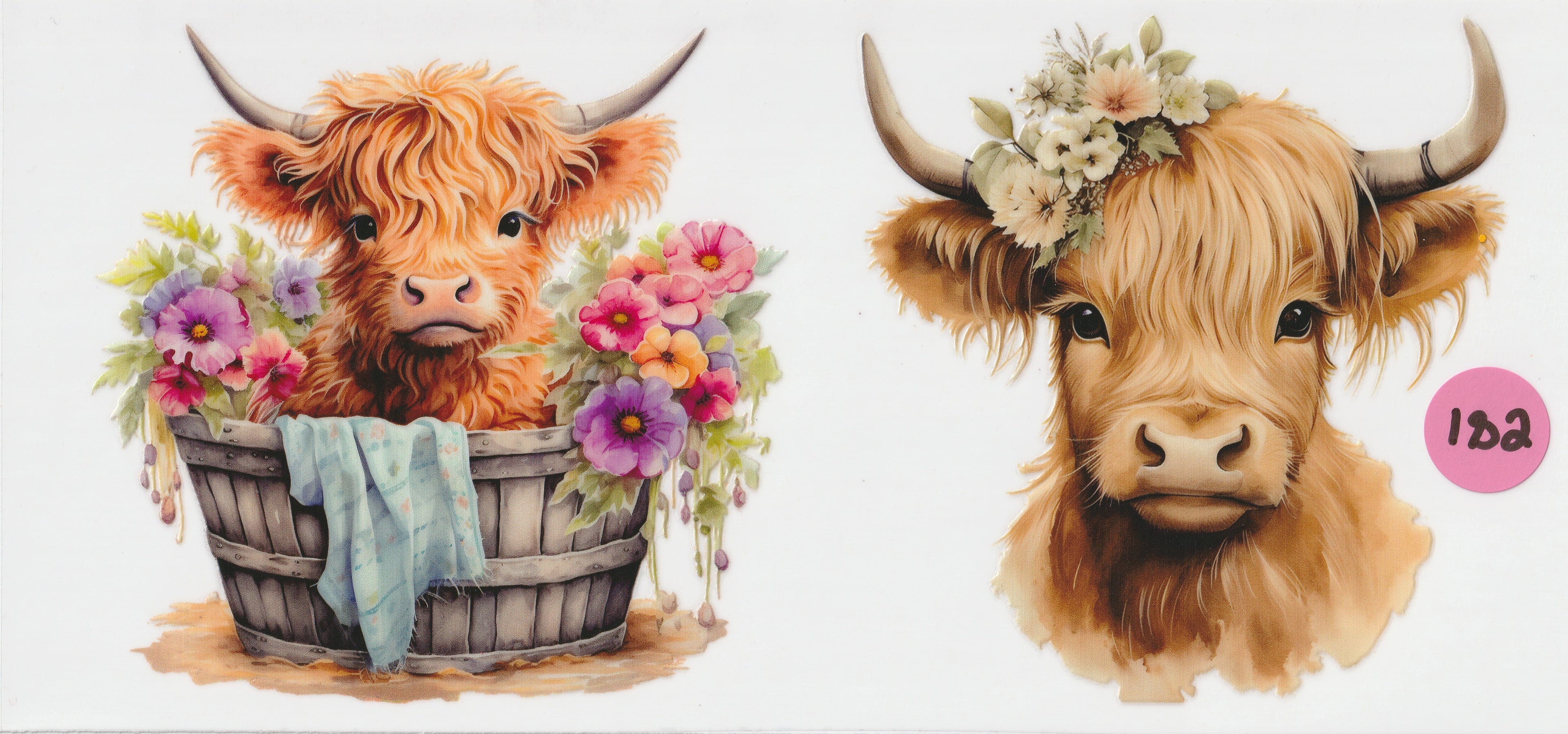 182 - Two Cows