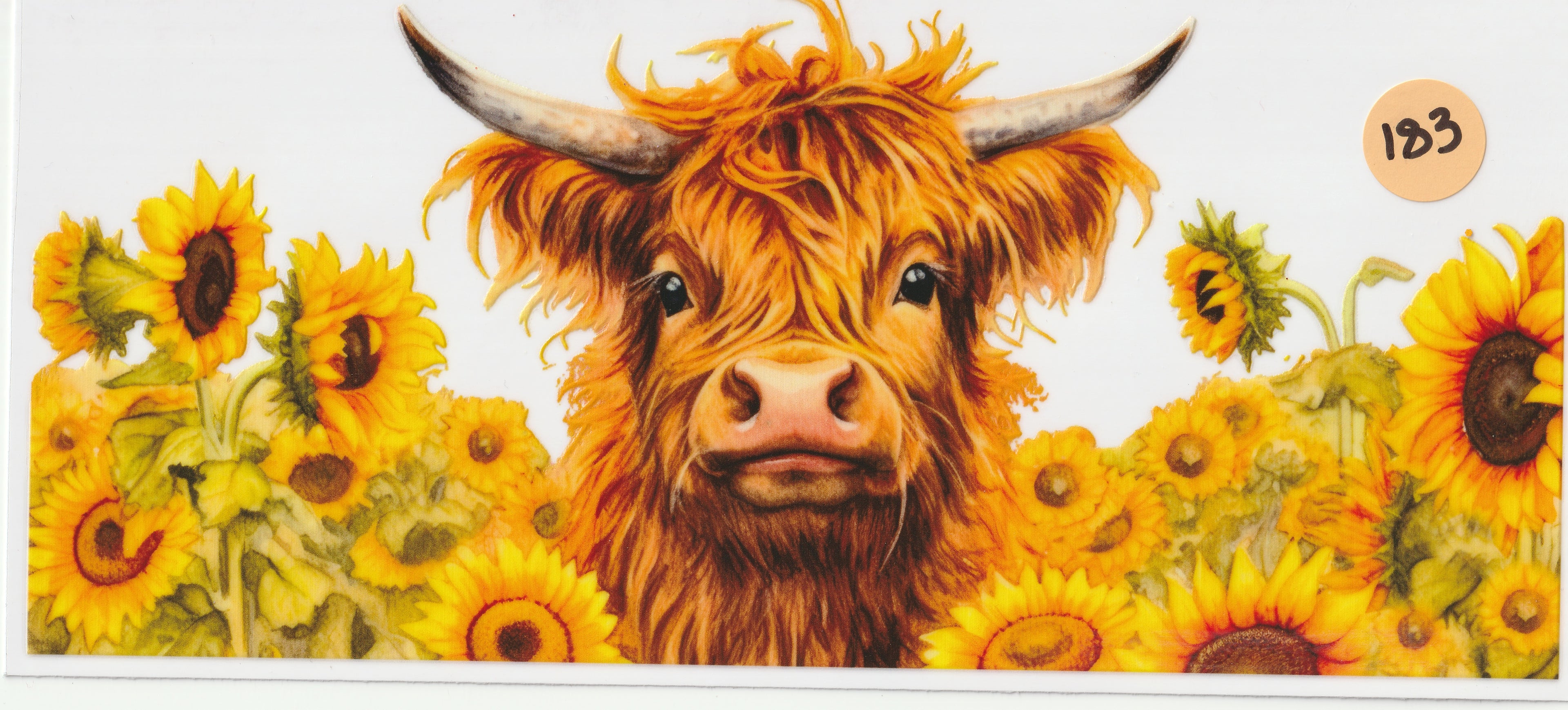 183 - Sun Flowers
