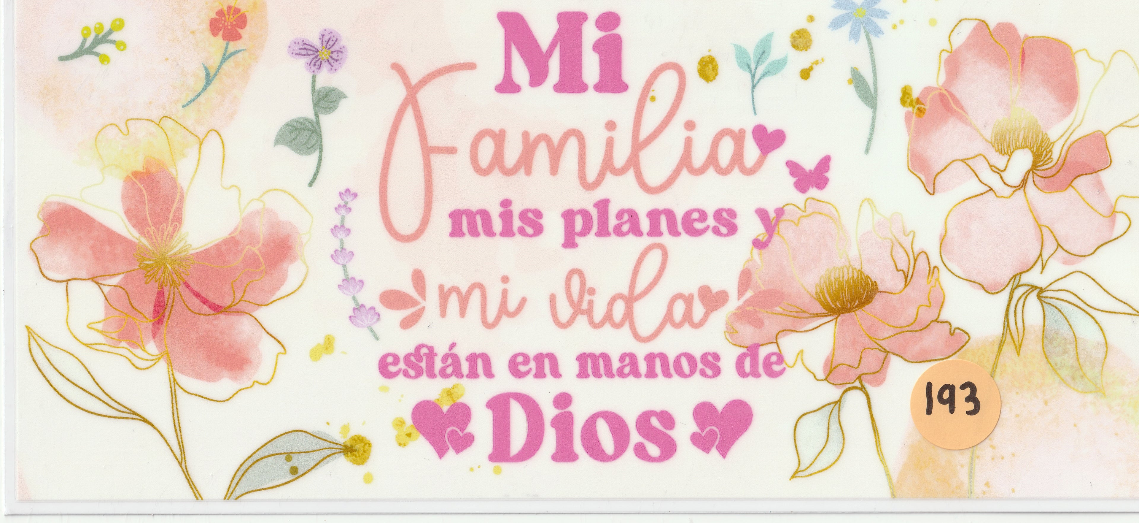 193 - Mi Familia Mis Planes y Mi Vida