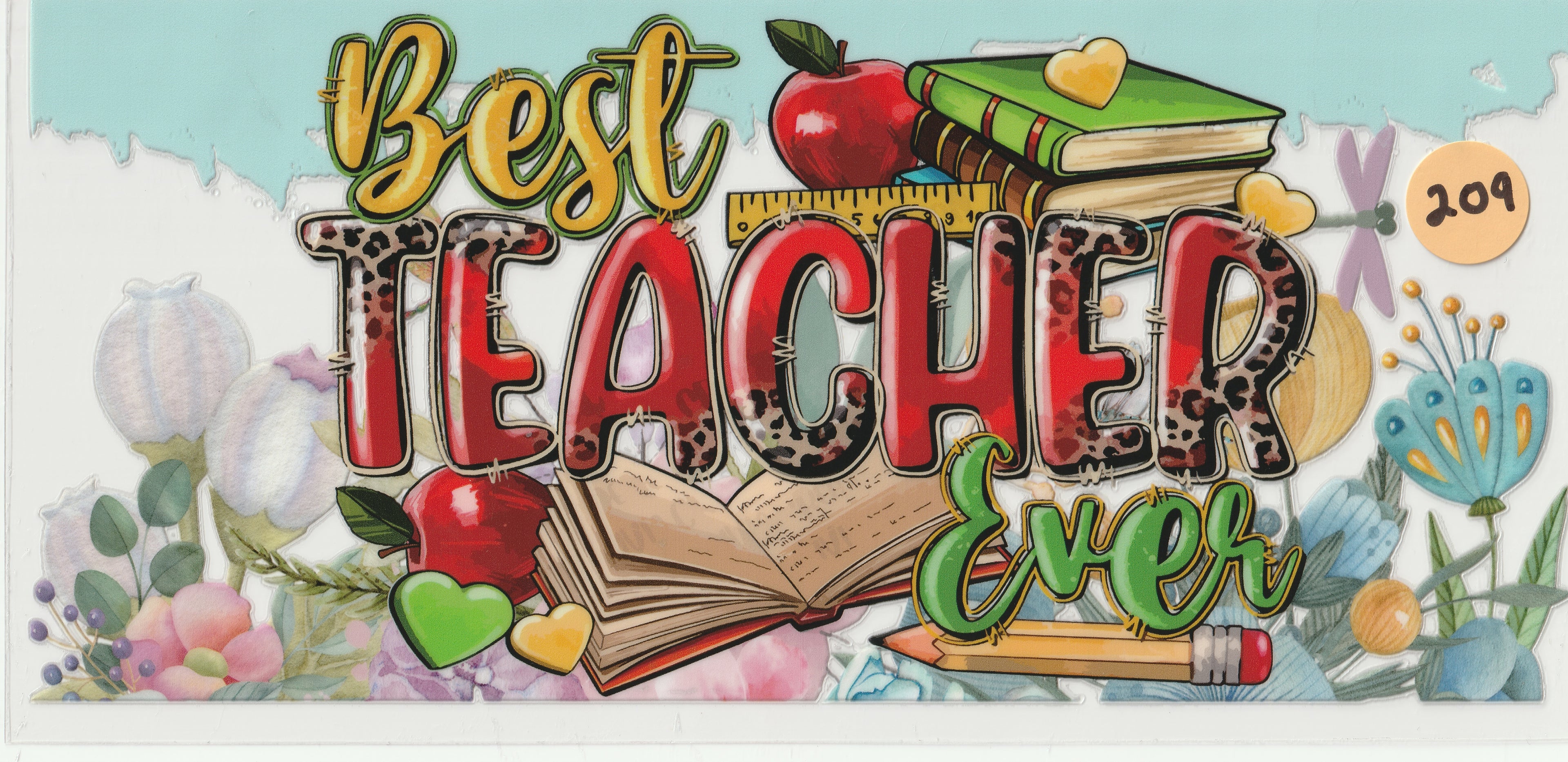 209 - Best Teacher Ever