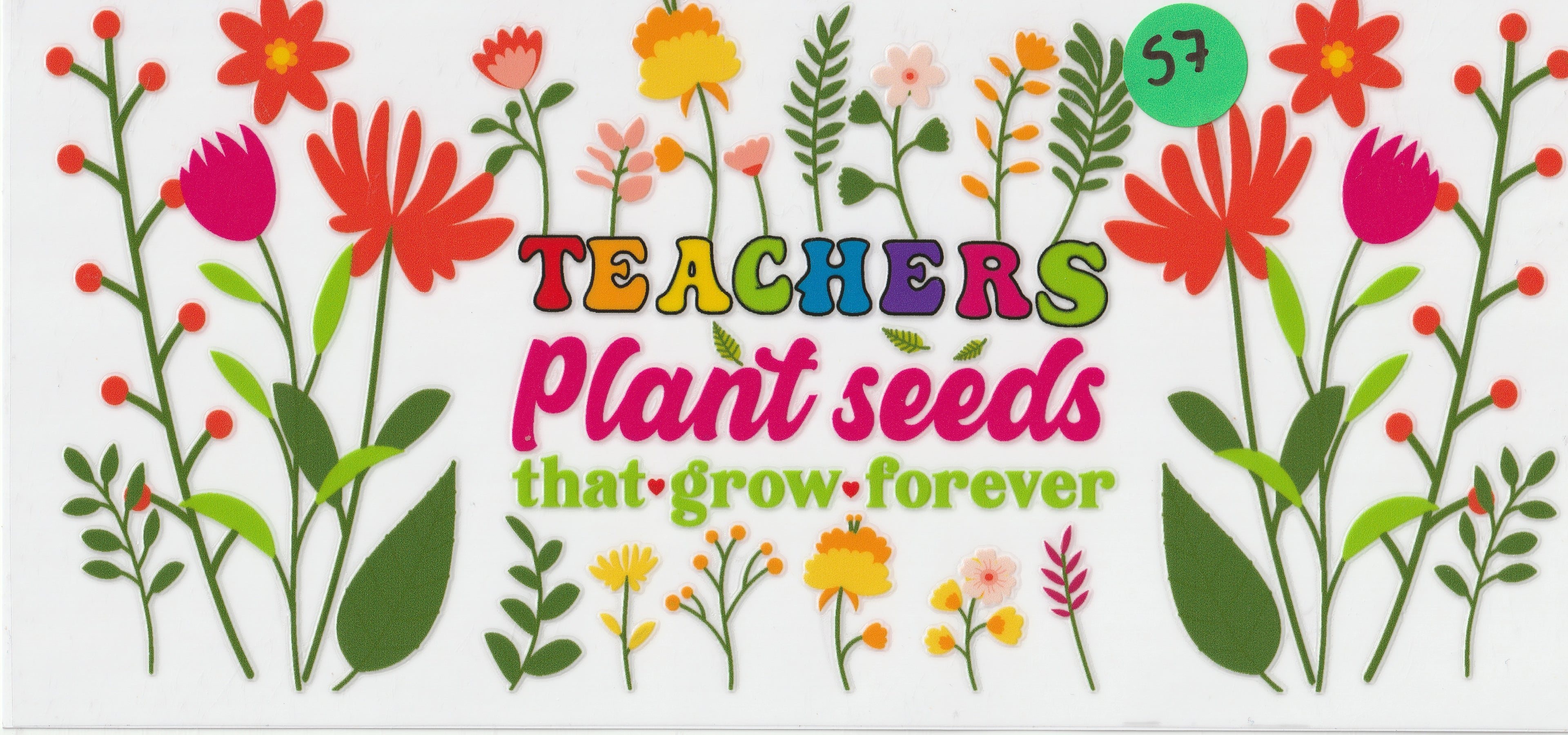 57 - Teachers plant seeds
