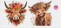 67 - Two Cows